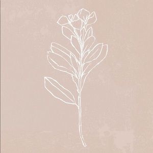 Meet your Posher, Zimri